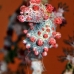 seahorse_pygmy_kbrnr2_v_0132_sul4905.jpg